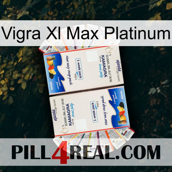 Vigra Xl Max Platinum kamagra1.jpg